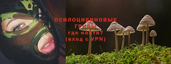 мдпв Карталы