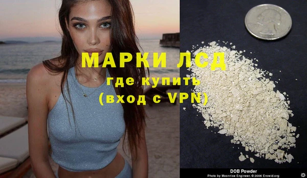 сатива Карпинск