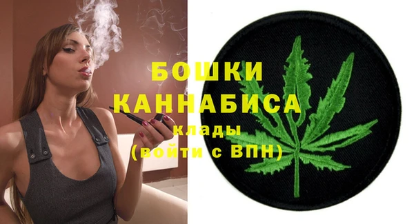 сатива Карпинск
