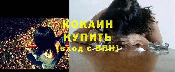 мдпв Карталы
