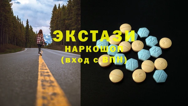 сатива Карпинск
